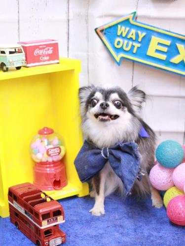 20230415クオンくん